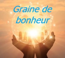 grainedebonheur.net